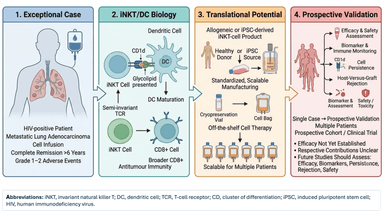 Graphical Abstract