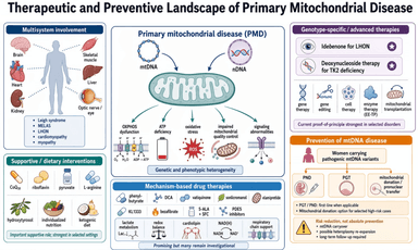 Graphical Abstract
